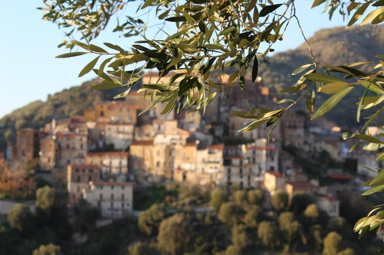 La Casa Del Maestro Attico Apartment Pisciotta Exterior foto